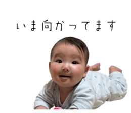 773250544