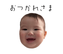 773250554