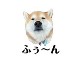 773251067