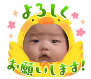 773251544