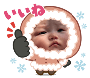 773251550