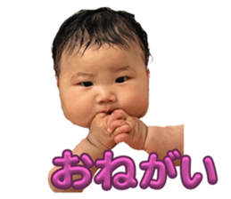 773252291