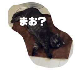 773252462