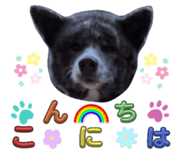 773253194