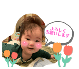 773254378