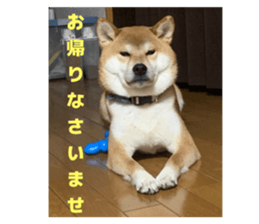 773254961