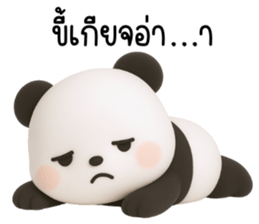 773255050