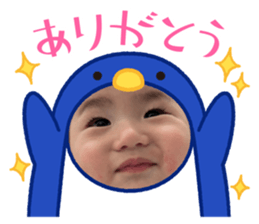 773255876
