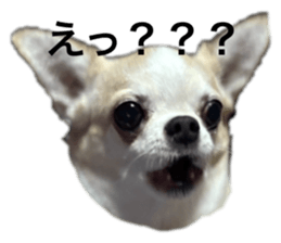 773257580