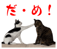 773259717