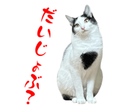 773259726