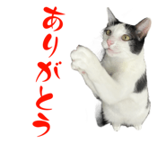 773259728