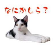 773259731