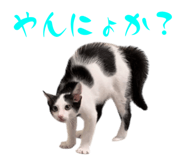 773259734