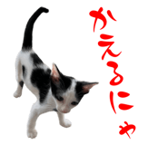 773259743