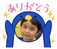 773263303