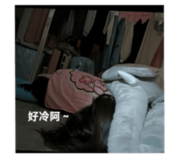 773272366