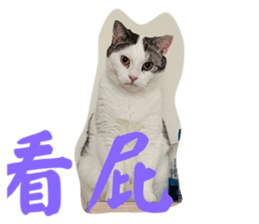 773272671