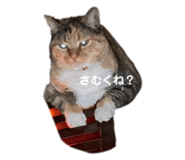 773274549