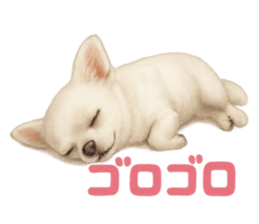 773274619