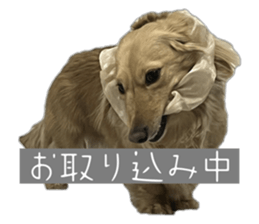 773275276