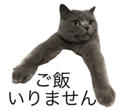 773275759