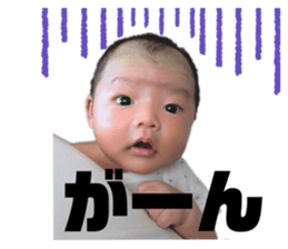 773277035