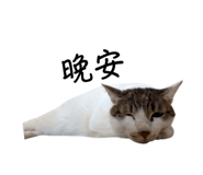 773281252