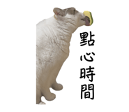 773281273