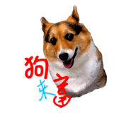 773282328