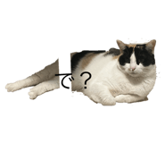 773284321