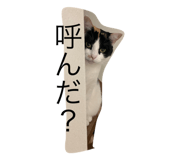 773284324