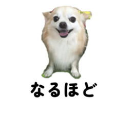 773284441