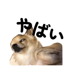 773284454