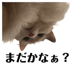 773285677