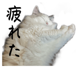 773285678