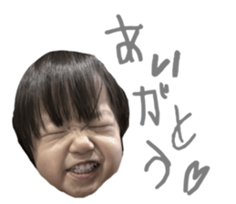 773285817