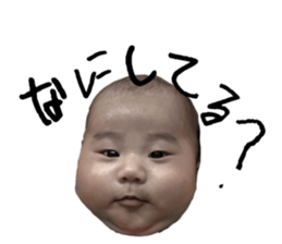 773285818