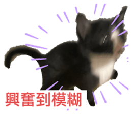 773287717