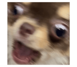 773291379
