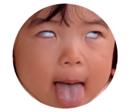 773293336