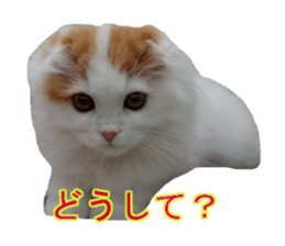 773294549