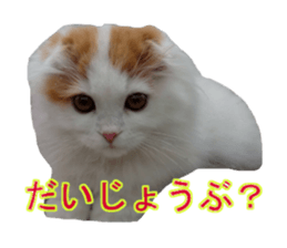 773294550