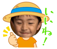 773294997