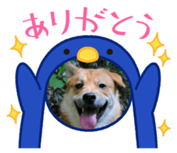 773296834
