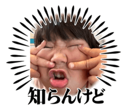 773298100
