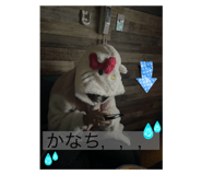 773301099