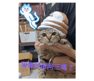 773302230