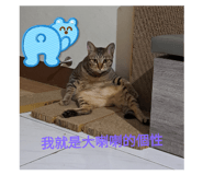 773302232