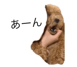773302574